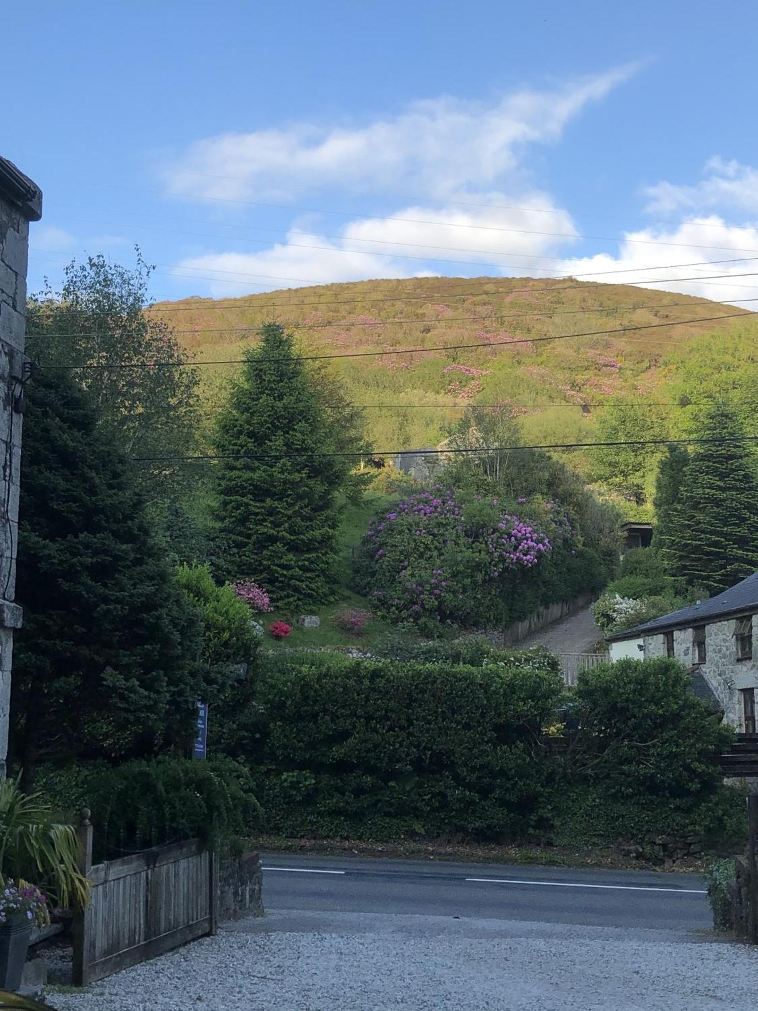 The Chapel Guest House St Austell Esterno foto